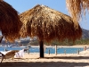 Cabo Beach Palapas