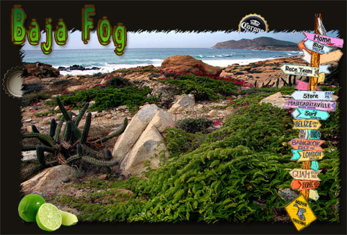 Cactus Coast 500px