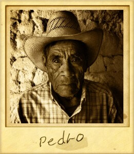 Pedro